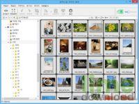 FocusOn Image Viewer 1.0