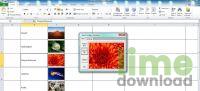 Excel Image Assistant