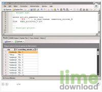 Invantive Query Tool