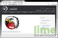 BlackHawk Web Browser