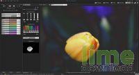 ACDSee Photo Studio Professional