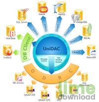 Universal Data Access Components