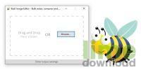 Bzzt! Image Editor