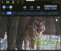 VLC Skins