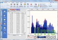 RiskyProject Professional