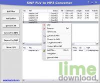 SWF FLV to MP3 Converter