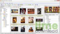 XnView MP for Windows
