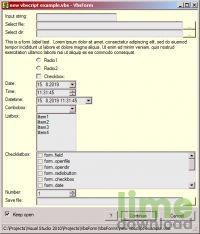 VbsForm