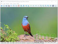 Easy Photo Studio FREE