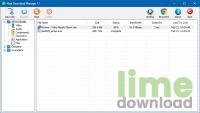 Neat Download Manager