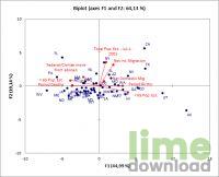XLSTAT