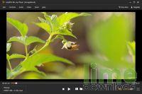 AnyMP4 Blu-ray Player