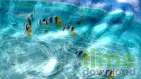 Watery Desktop 3D