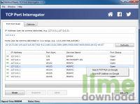TCP Port Interrogator