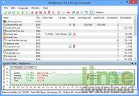 NetBalancer Pro