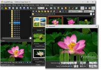 Portable FastStone Image Viewer