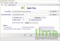 Split Byte