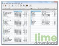FTP Disk