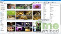 Video File Browser