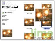 SWF Extractor