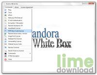 Pandora White Box