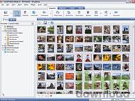 Corel Photo Album