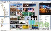 Phototonic