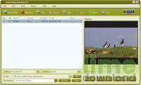 4Free Video Converter