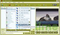 4Free Video Converter