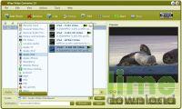 4Free Video Converter