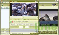 4Free Video Converter
