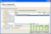 Recovery Toolbox File Undelete Free