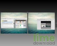 Linux Mint Mate