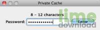 Private Cache