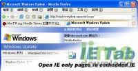 IE Tab