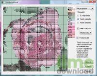 Ryijy Stitch Designer