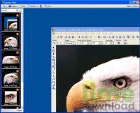 Capture View