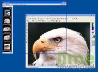 Capture View
