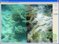 STOIK Imagic Free Browser