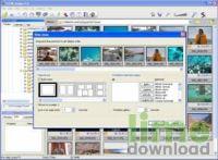 STOIK Imagic Free Browser