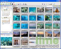 STOIK Imagic Free Browser