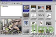 WebPix