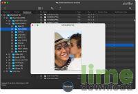 Stellar Data Recovery Standard for Mac