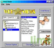 Web Views