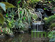 Living Waterfalls