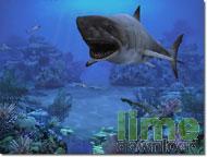 Sharks, Terrors of the Deep