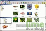 !Advanced Album Editor