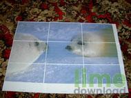 Wall Photo Maker