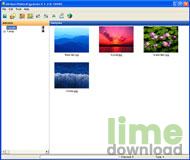 Virtual Photo Organizer