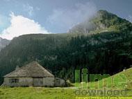 Absolute Switzerland